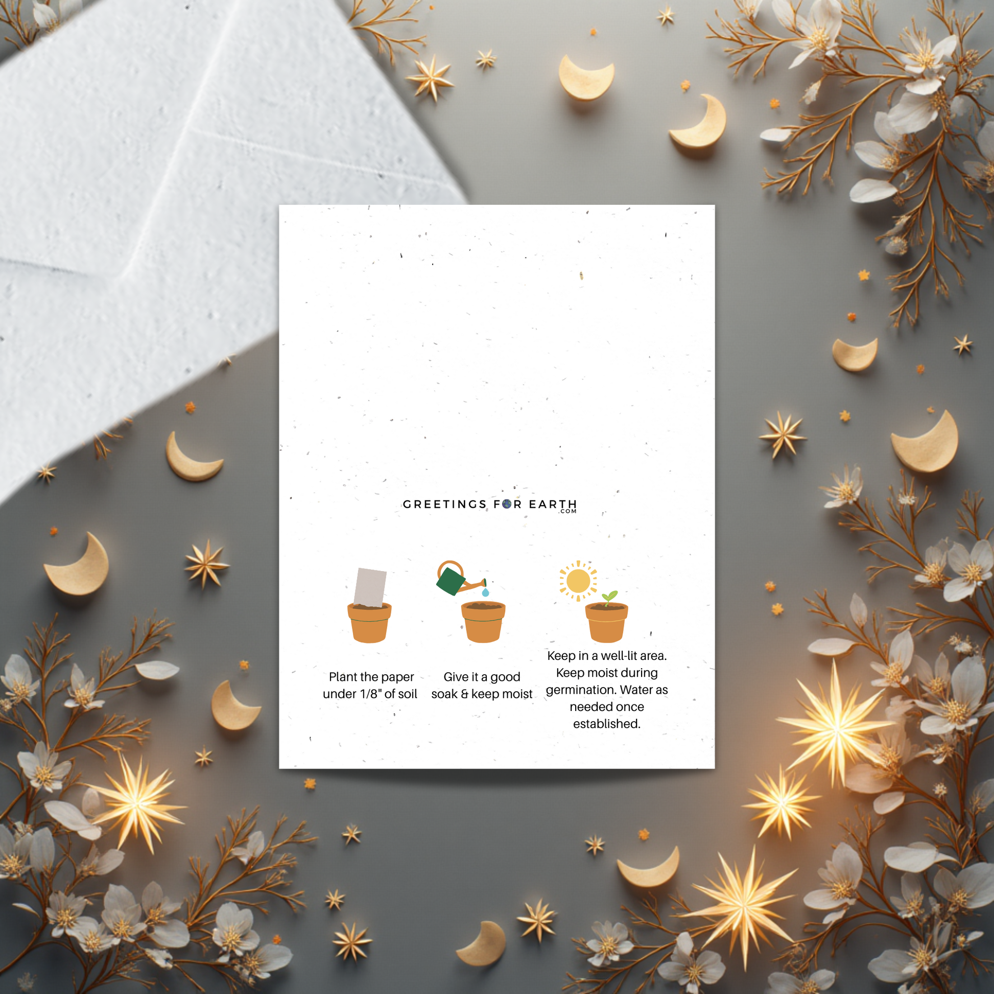 back of Greeting card with planting instructions