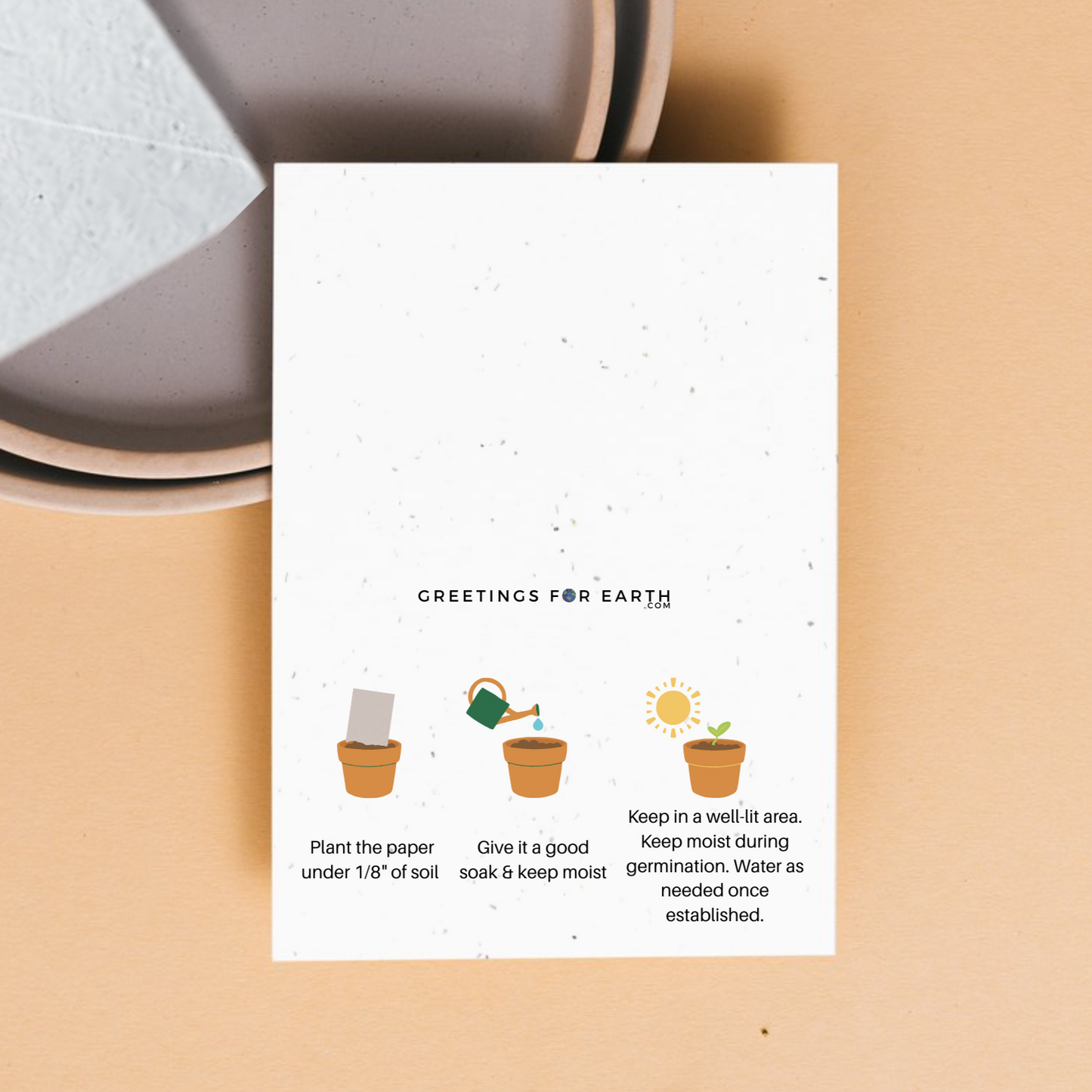 back of seed card with instructions on how to grow and branding