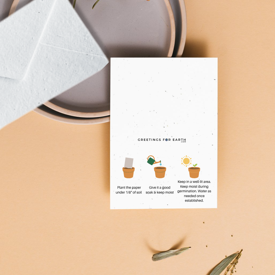 Card with planting instructions on a beige surface