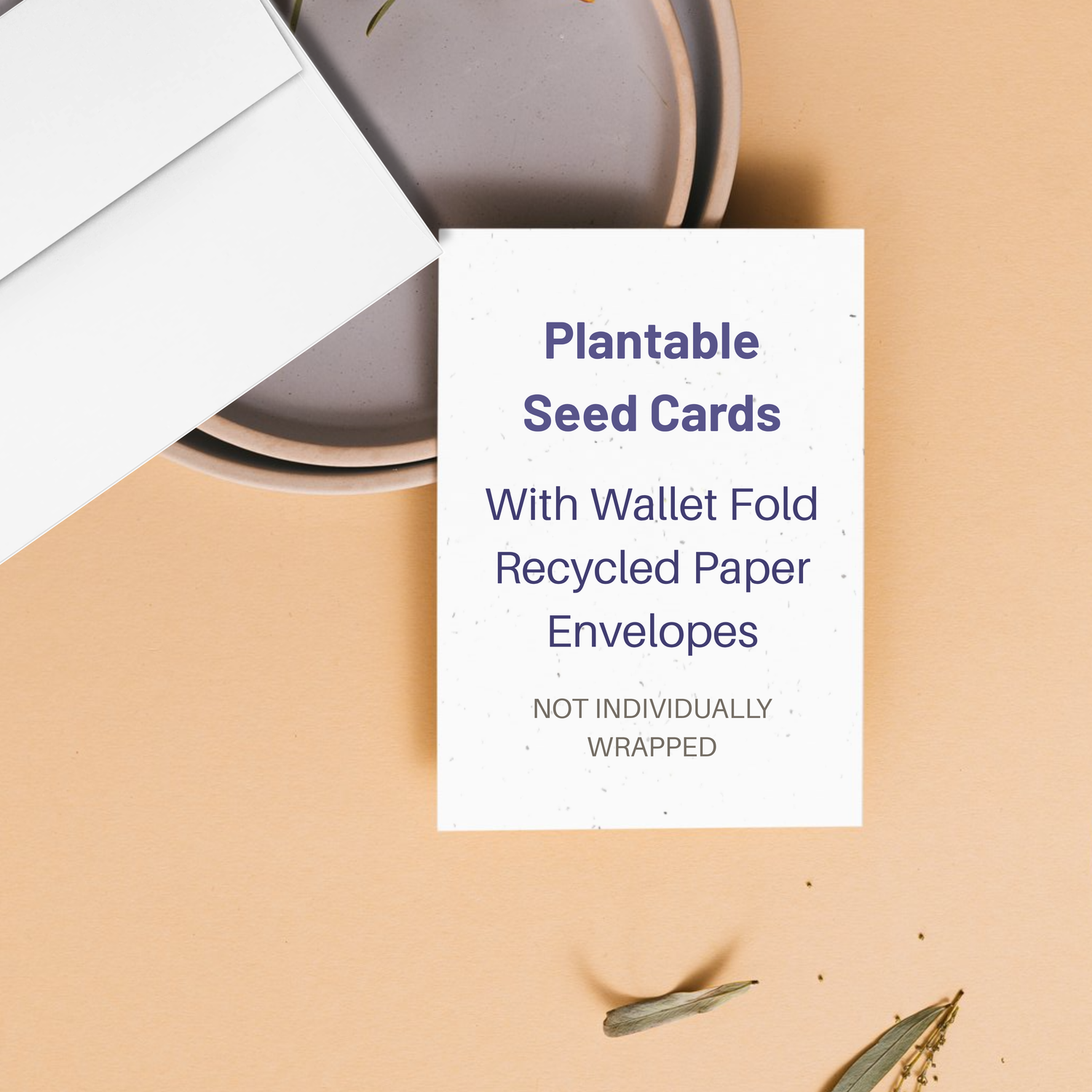 Wholesale Plantable Seed Card with Recycled Paper Wallet Fold Envelope - Not Individually Wrapped $4.49/MSRP $8.99