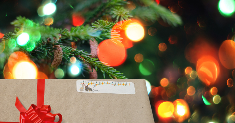 Wrapped gift with a label with 2 cats in holiday gear and hanging Christmas balls running along the top of the label