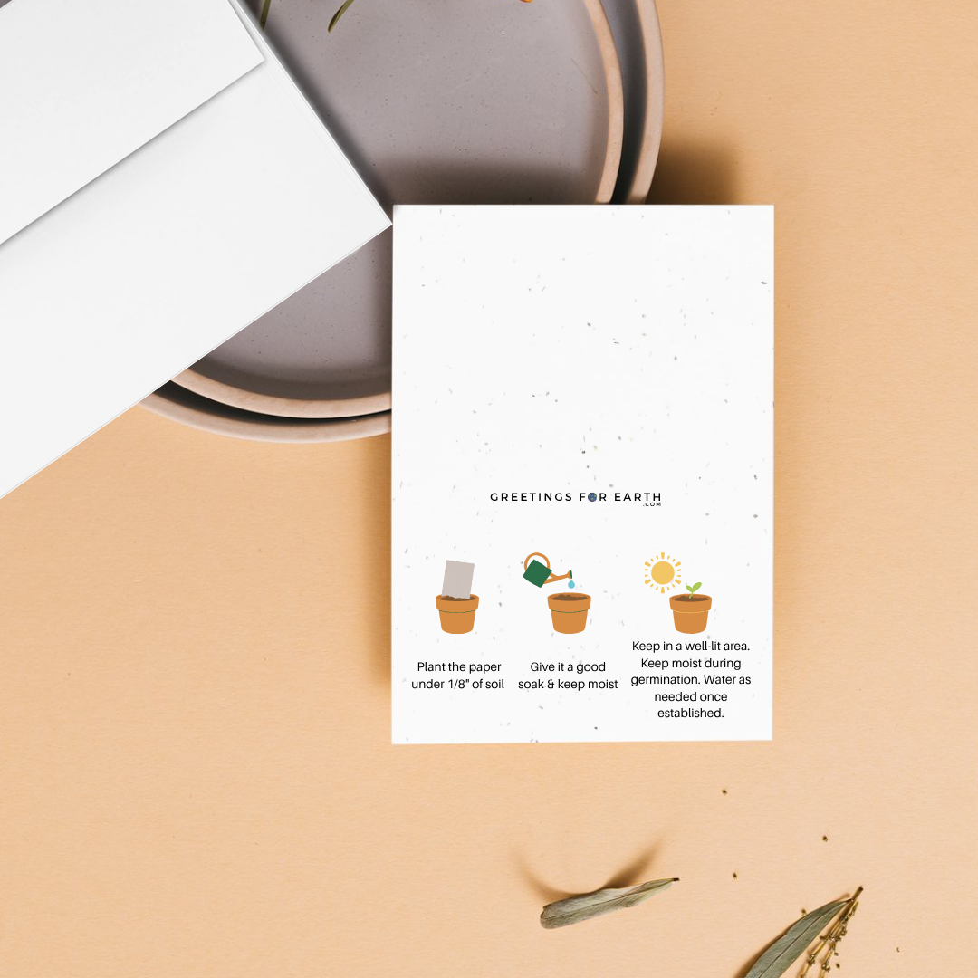 back of plantable Greeting card with planting instructions on a beige surface
