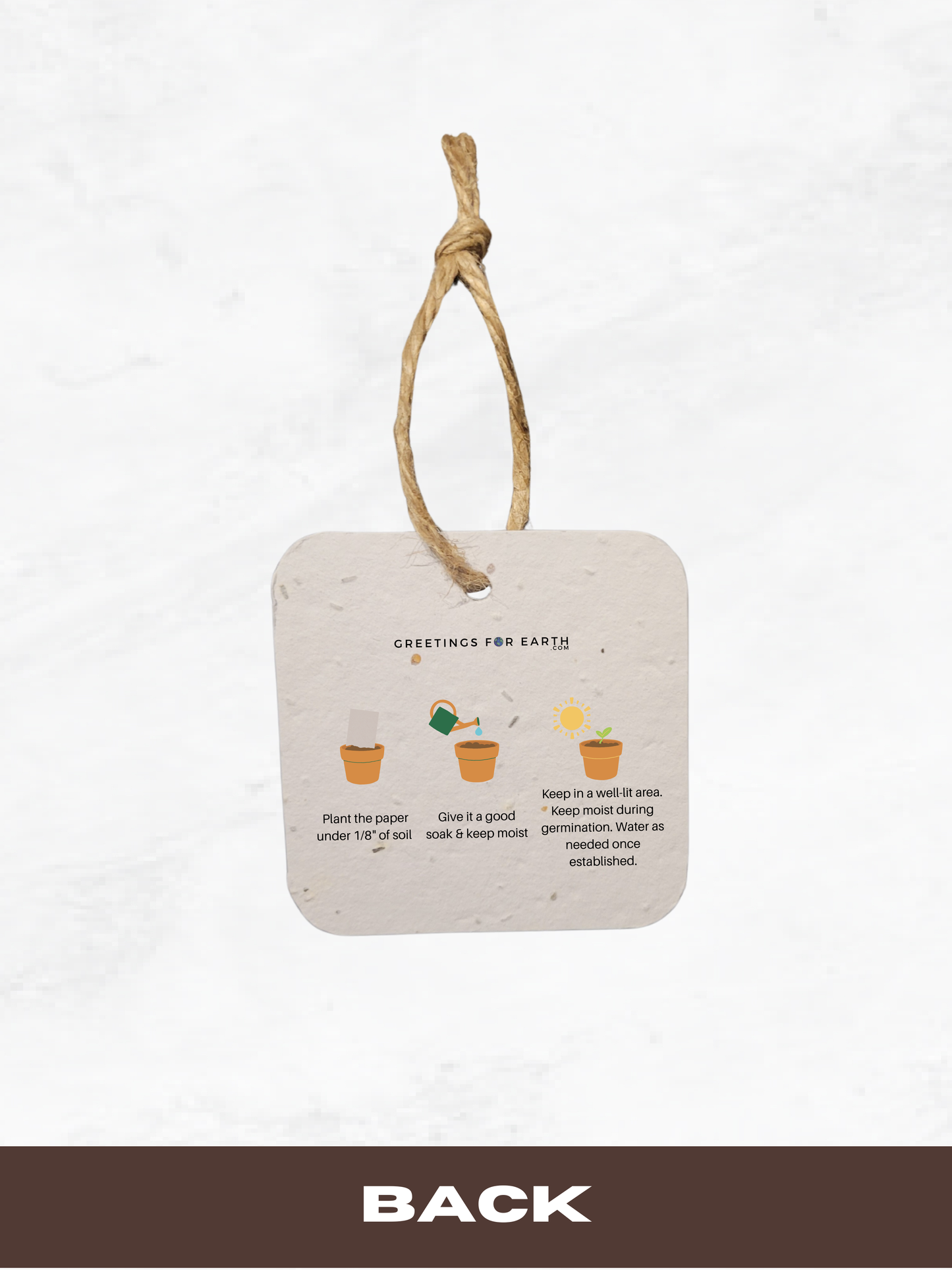 Back of gift tag made with seed paper with planting instructions on a white background