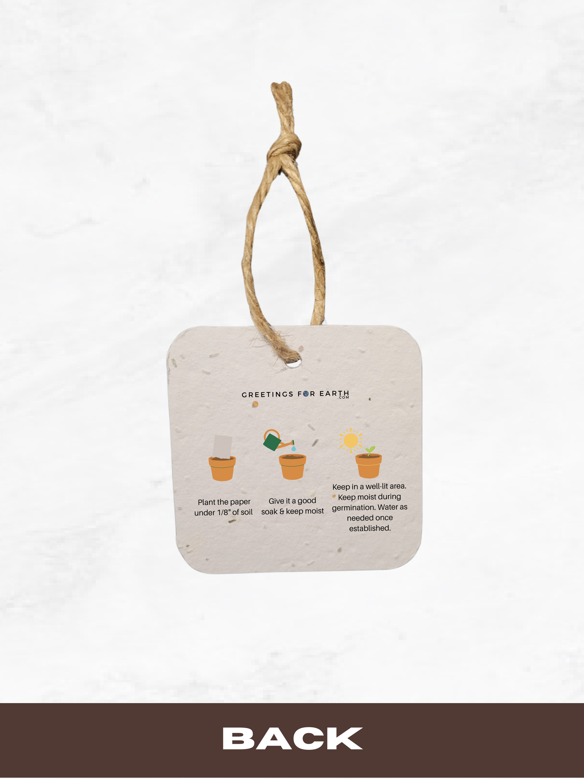Back of gift tag made with seed paper with planting instructions on a white background