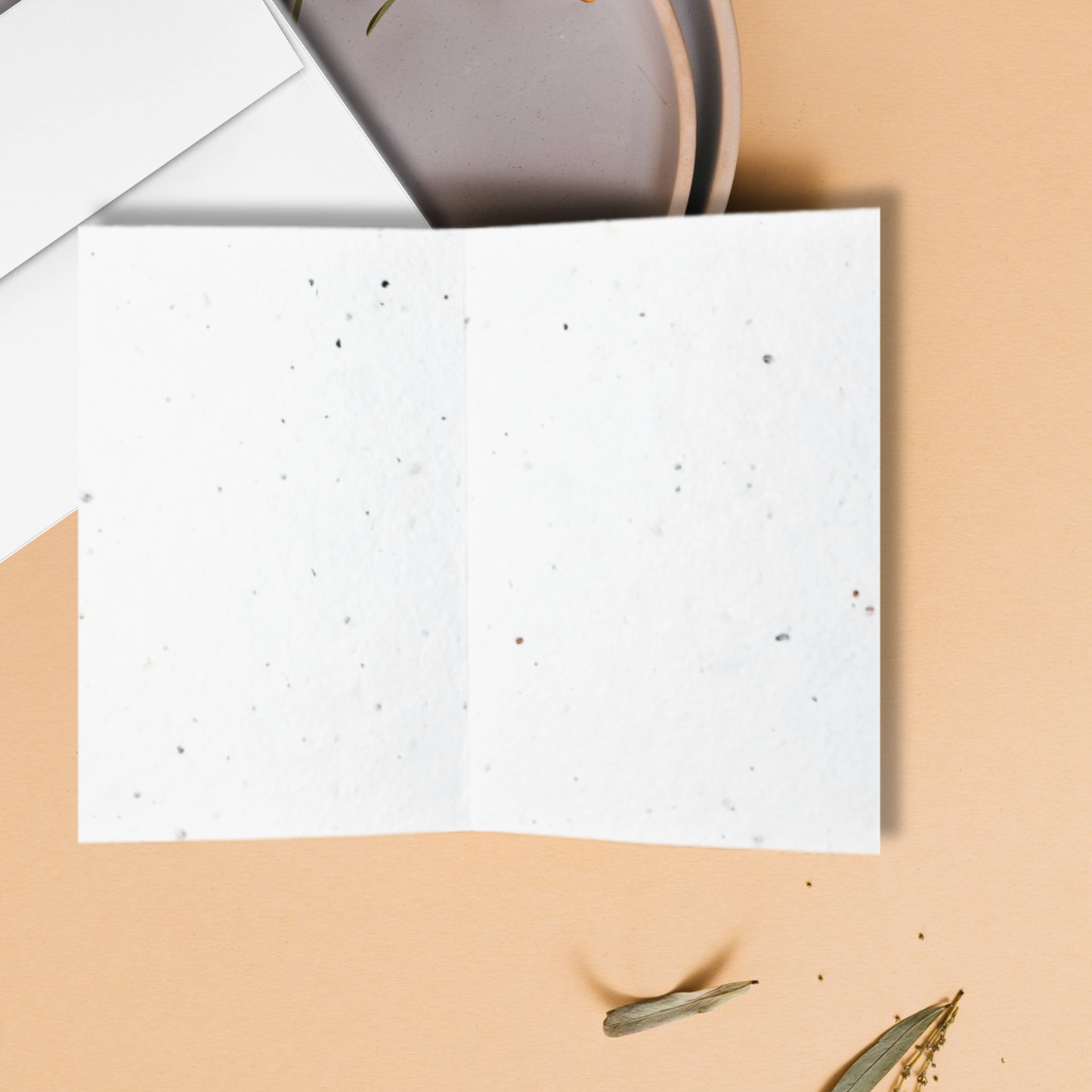 Inside of blank seed paper card inside