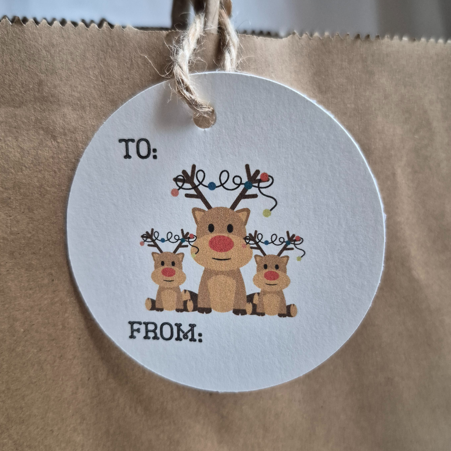 Round Christmas recycled paper gift tag with reindeer illustration hanging from a brown paper bag