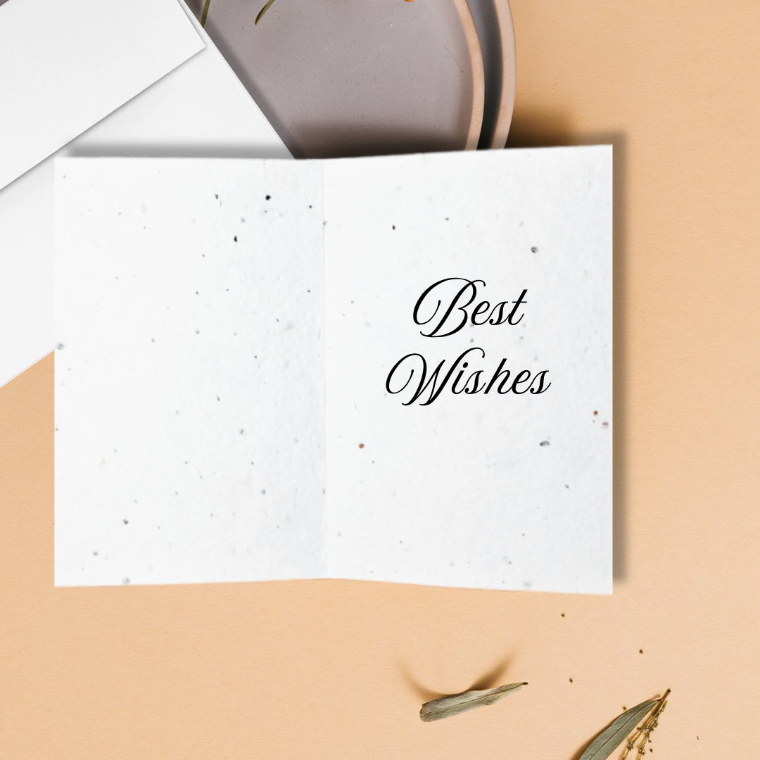 Inside Birthday seed paper card with 'Best Wishes' text on a beige surface. Eco-friendly design