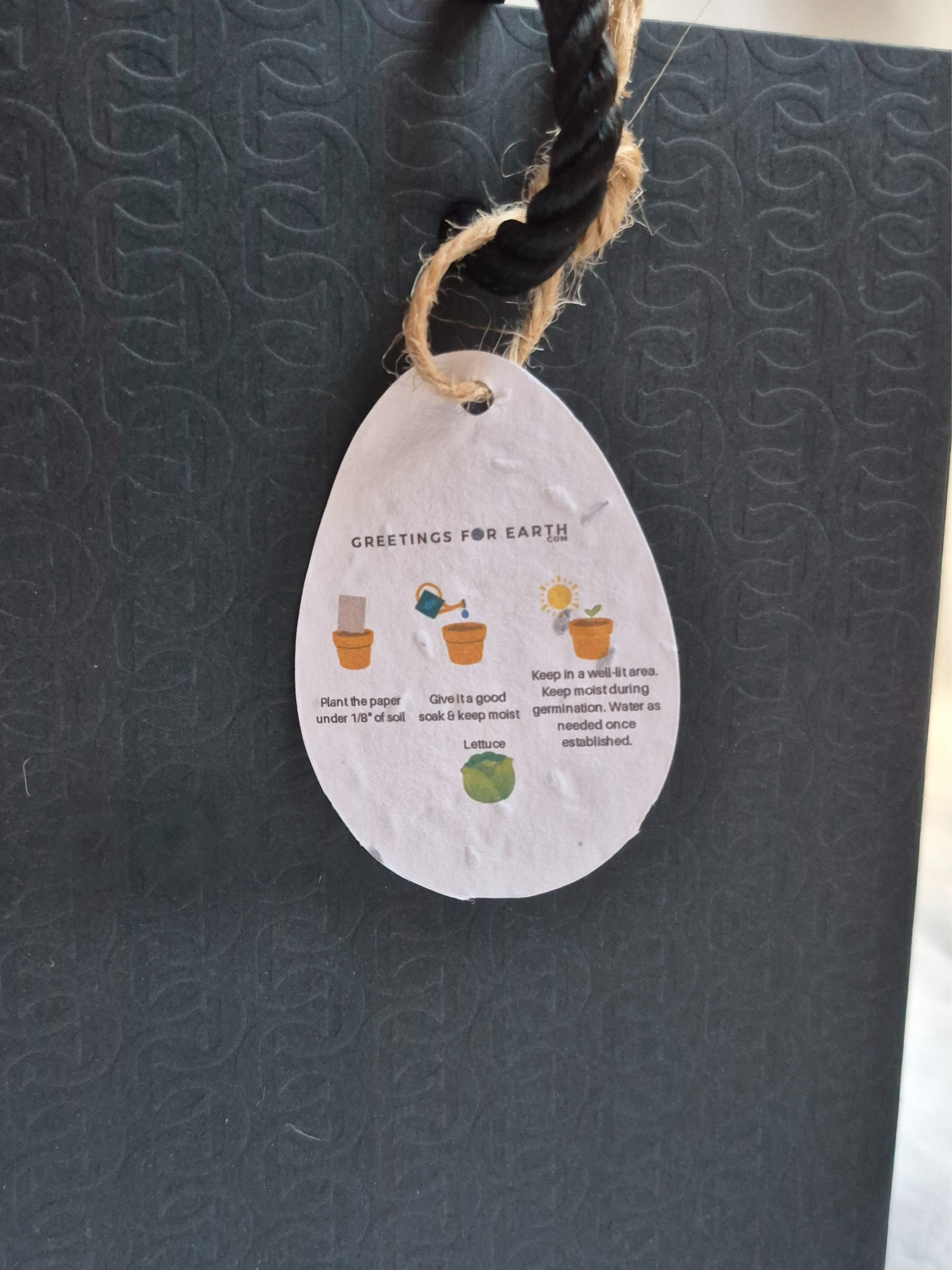 Rear of Easter egg shaped gift tag made of seed paper with planting instructions