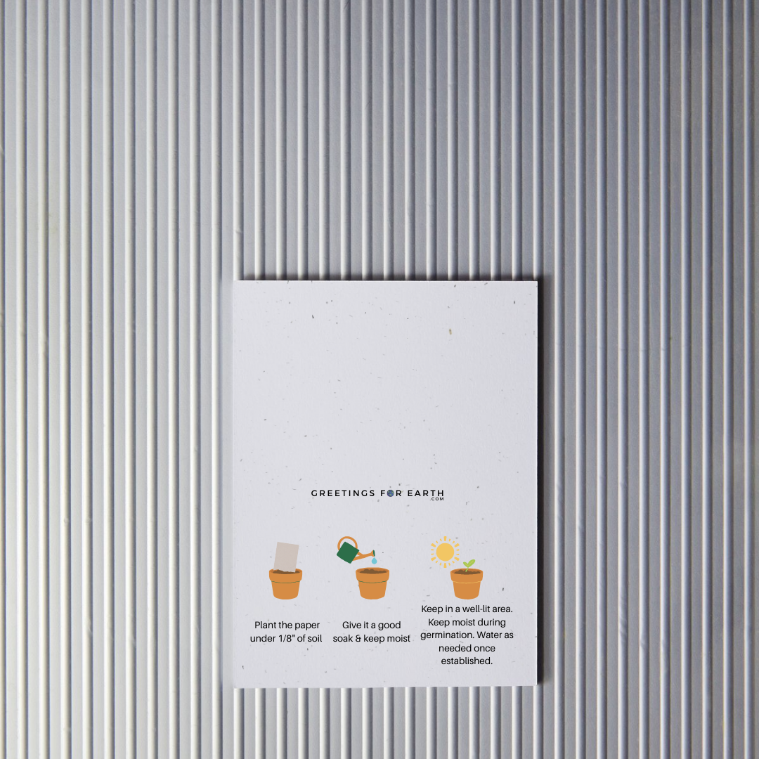 Rear of plantable paper greeting card with gardening instructions on a striped background